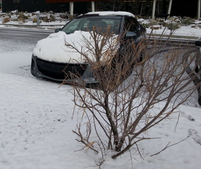 Snow on car in Prescott