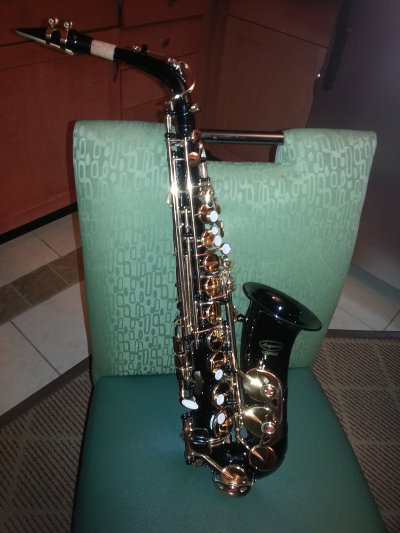 Alto Saxophone from Amazon