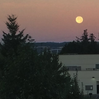 Moon out the window in the morning at DWFritz