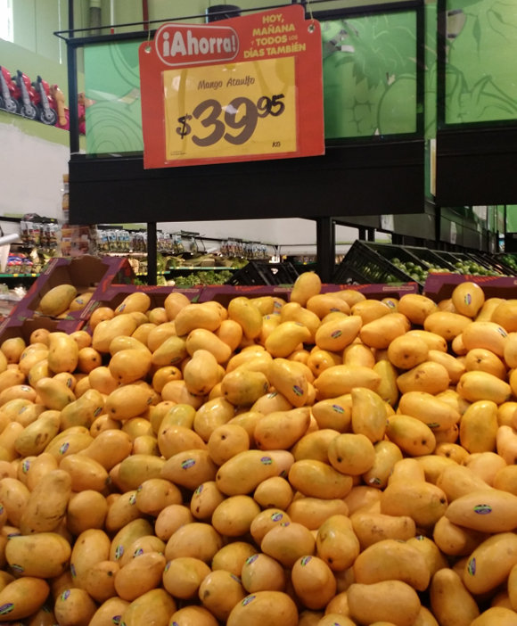Sea of mangos