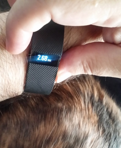 Kiwi and I setting up my fitbit