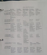 Kelly's homeschool planning sheet from 2010