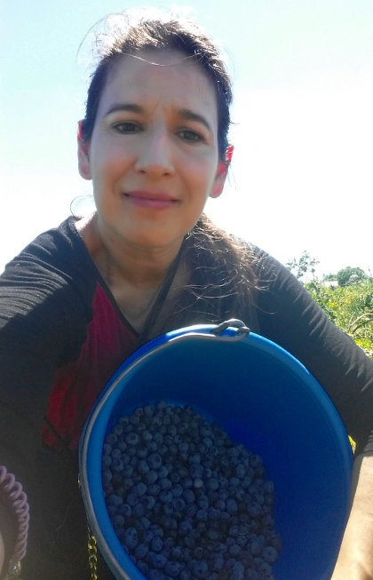 Lorena picks blueberries in Rochester, WA 2017